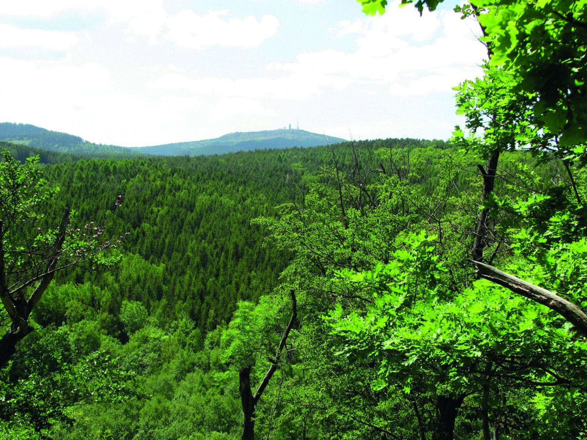 Blick vom Baldrichstein zum Inselsberg