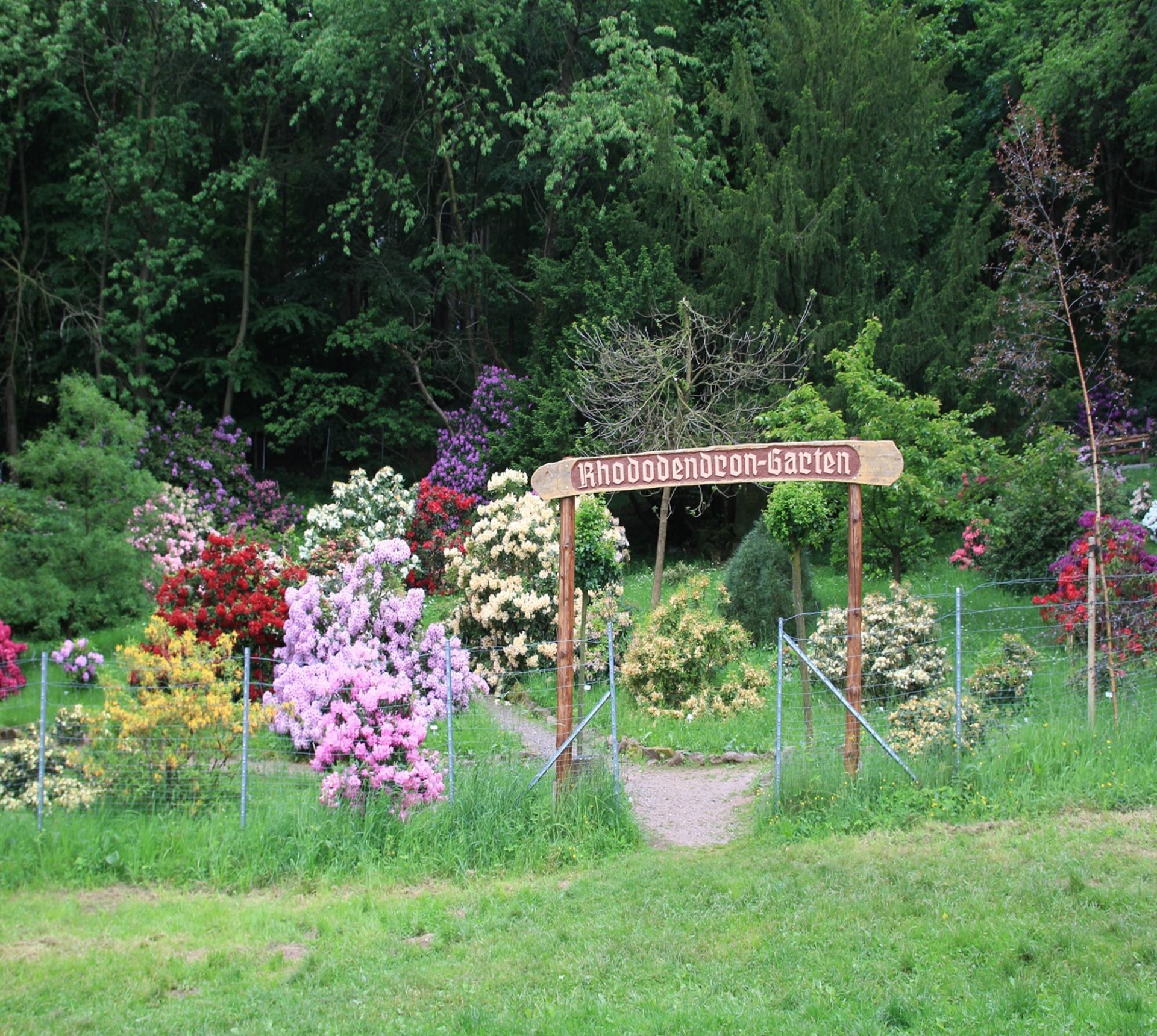 Rhododendrongarten